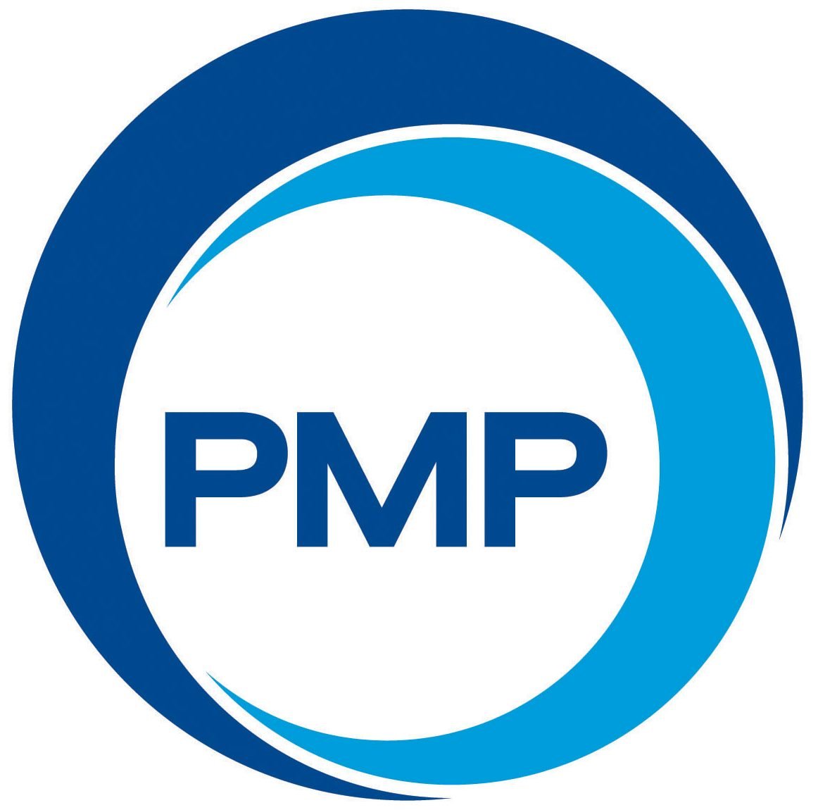 PMP GROUP (AI)