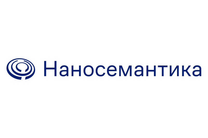 ГК «Наносемантика» (ООО «Лаборатория Наносемантика», ООО «Виртуальные Ассистенты», ООО «Нейросети Ашманова», ООО «Синтелли», ООО «Вейн СиВи» )