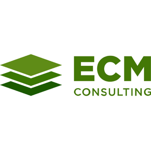 ЕСМ-Консалтинг