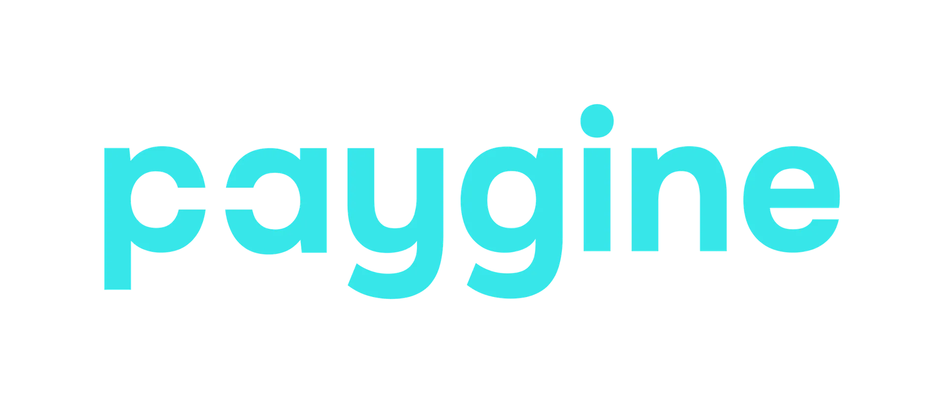 Paygine