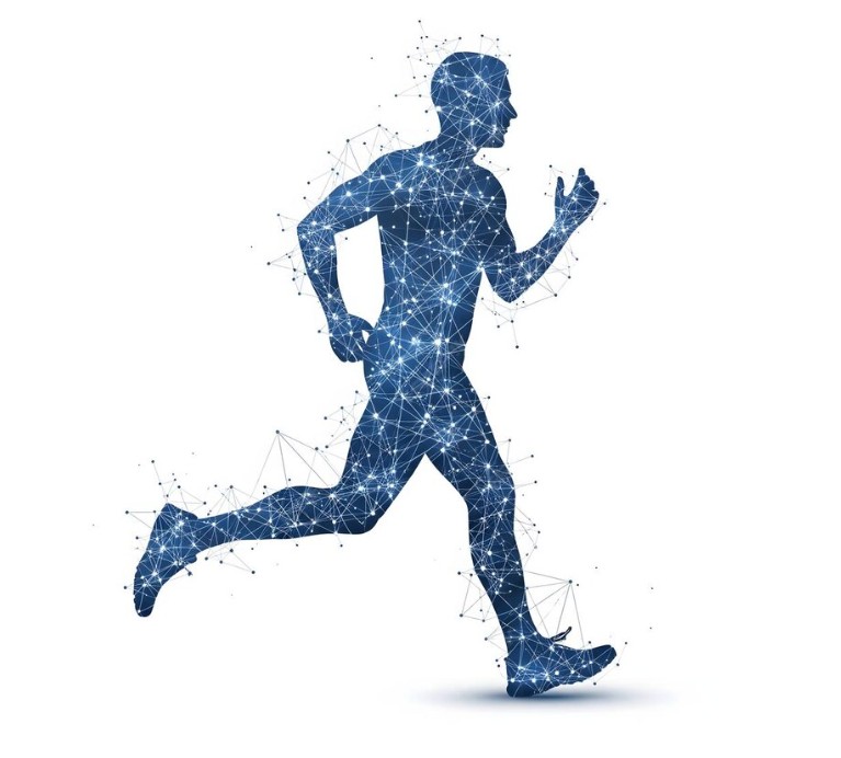 Перспективы рынка онлайн-фитнеса в России